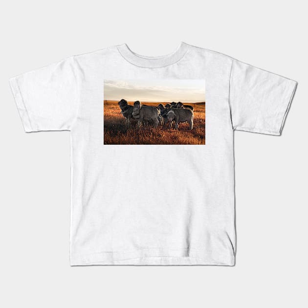 Merino Sheep in the Sunset Kids T-Shirt by kawaii_shop